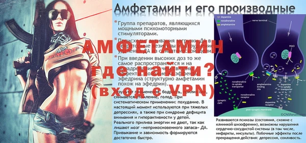 шишки Заволжье