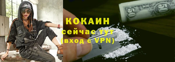 шишки Заволжье
