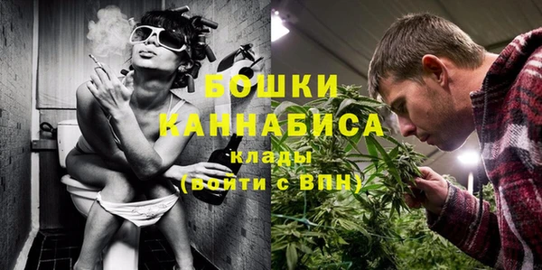 первитин Заводоуковск