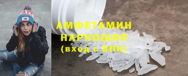 шишки Заволжье