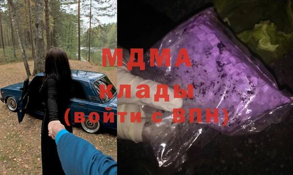 шишки Заволжье