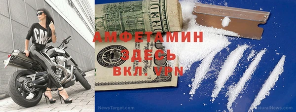 шишки Заволжье