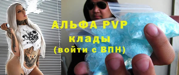 шишки Заволжье