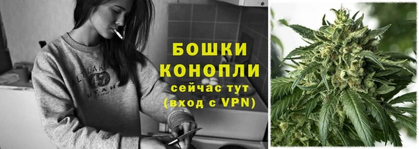 шишки Заволжье