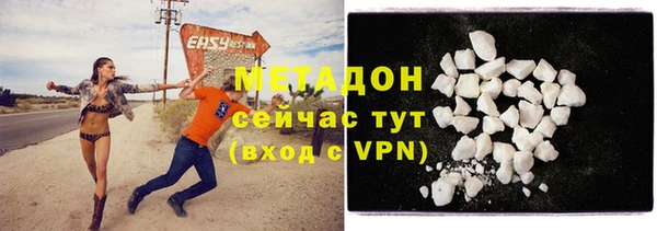 шишки Заволжье