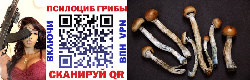 Галлюциногенные грибы MAGIC MUSHROOMS Копейск